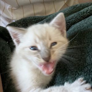 Meet your Posher, Elyse